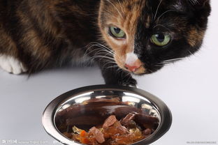 家禽家畜圖集 從飼養(yǎng)認(rèn)知到資源下載