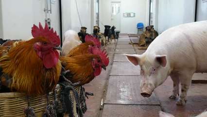 車滿心滿腰包滿 “慢火車”帶來“慢幸?！? />
</span>
<span id=